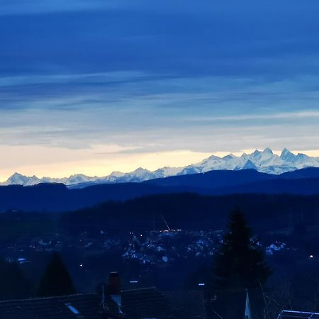 Alpenpanorama Haegelberg Lägenhet Steinen  Exteriör bild