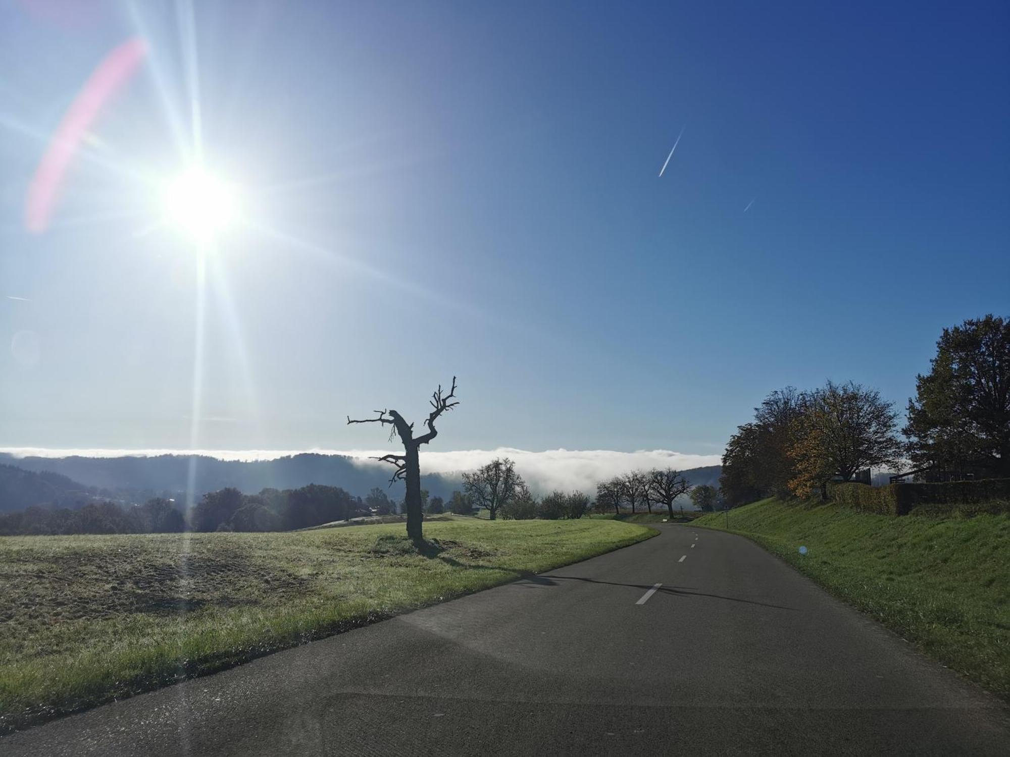 Alpenpanorama Haegelberg Lägenhet Steinen  Exteriör bild